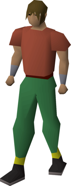 File:Insulated boots equipped.png