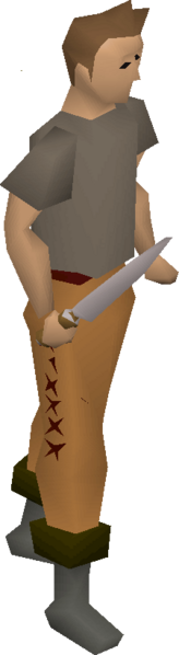 File:Kitchen knife equipped.png