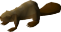 Thumbnail for version as of 13:45, 14 October 2024
