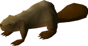 Beaver (mahogany) detail.png