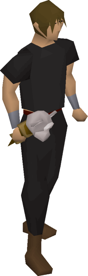 Monkey talisman equipped.png