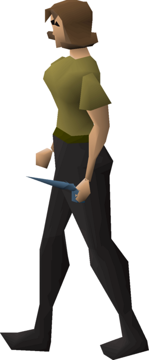 Rune defender equipped female.png