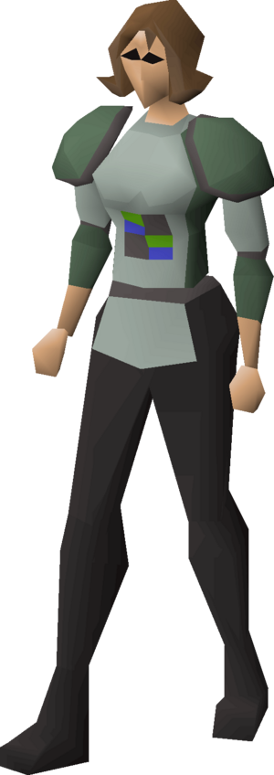 Adamant platebody (h2) equipped female.png