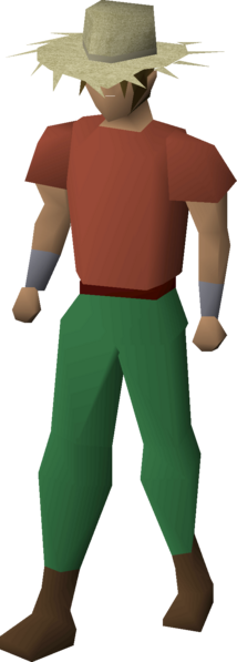 File:Farmer's strawhat equipped male.png
