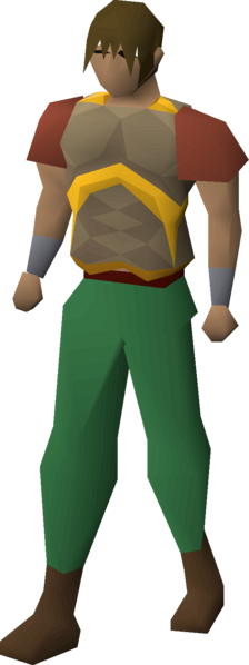 File:Leather body (g) equipped male.png