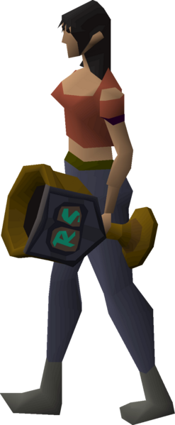 File:Shattered relics bronze trophy equipped female.png