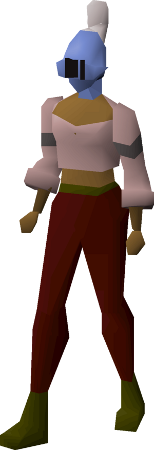 Steel heraldic helm (Asgarnia) equipped female.png