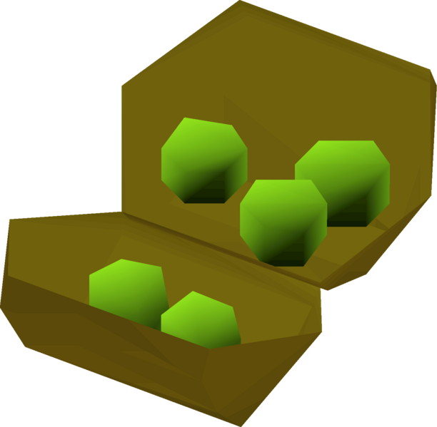 File:Yommi tree seeds (germinated) detail.png