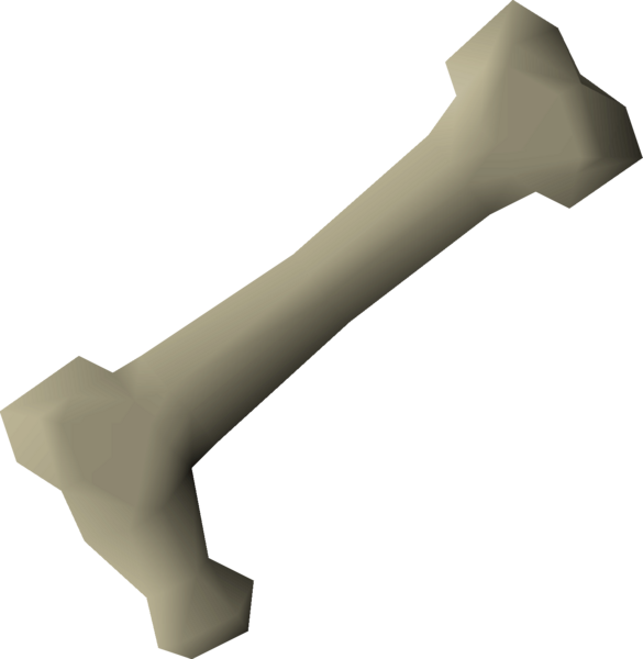 File:Long bone detail.png