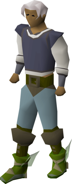 File:Pegasian boots equipped.png