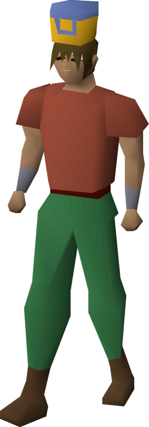 Villager hat (yellow) equipped male.png