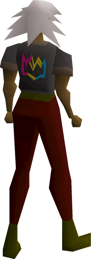 Colourful crown shirt (pansexual) equipped female.png