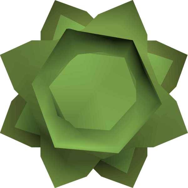 File:Cabbage round shield detail.png