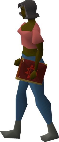 File:Mage's book equipped female.png