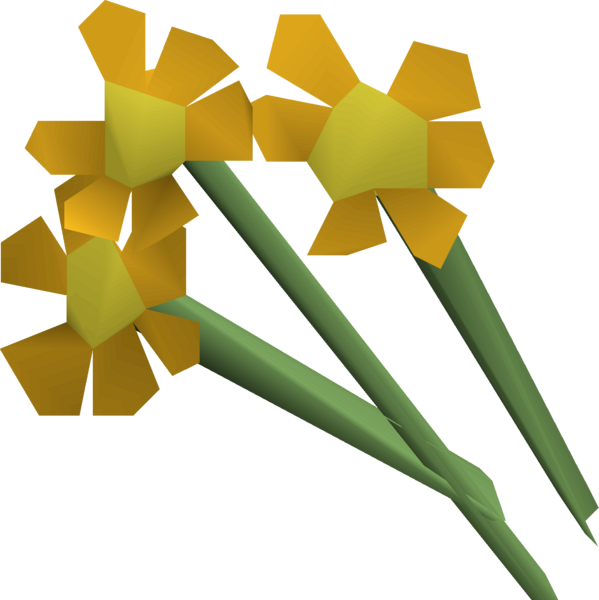 File:Orange flowers detail.png