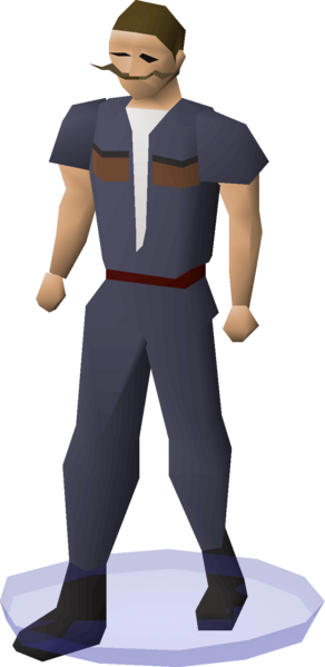 File:Clan wars cape (PVP Championship Blue 15) equipped.png