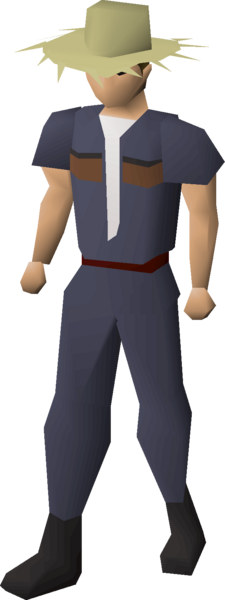 File:Farmer's strawhat (animation item) equipped.png