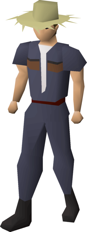 Farmer's strawhat (animation item) equipped.png