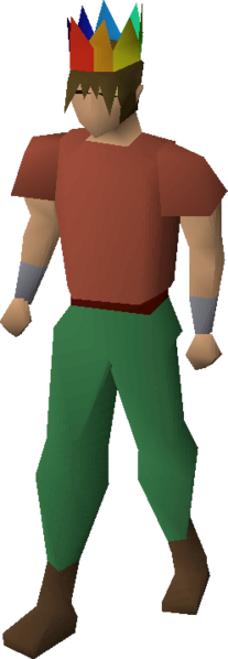 File:Rainbow partyhat equipped.png