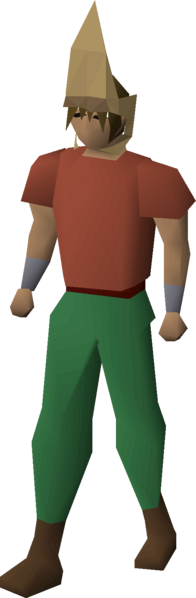 File:Splitbark helm equipped male.png