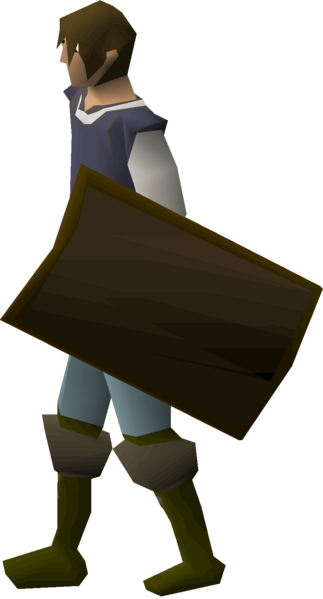 File:Bronze sq shield equipped male.png