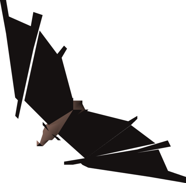 File:Burnt bat detail.png