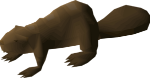 Beaver (oak) detail.png