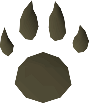 Footprint (unobtainable item) detail.png