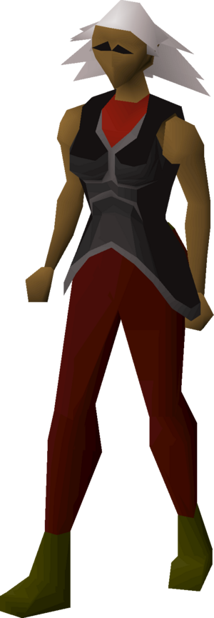 Shayzien platebody (1) equipped female.png
