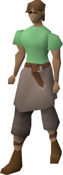 File:Adventurer's trousers (t1) equipped female.png