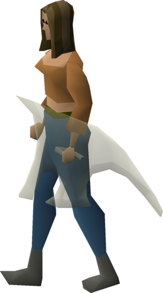File:Blessed spirit shield equipped female.png