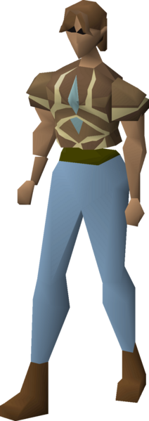 File:Graceful top (Trailblazer) equipped female.png