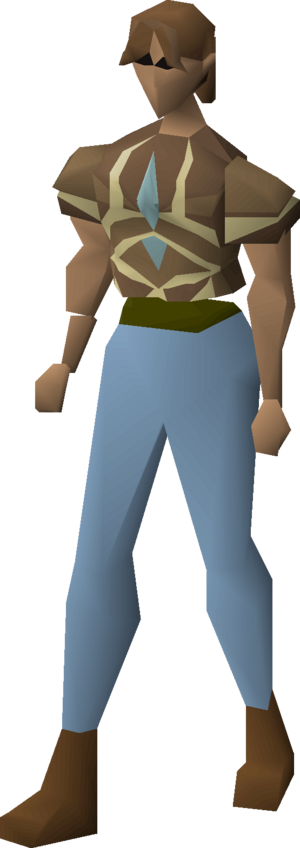 Graceful top (Trailblazer) equipped female.png