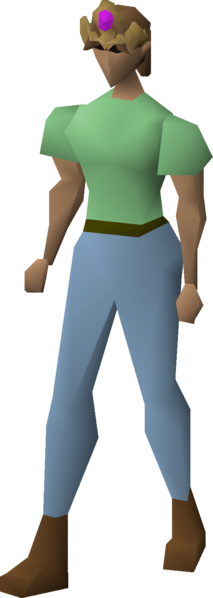 File:Fancy tiara equipped female.png