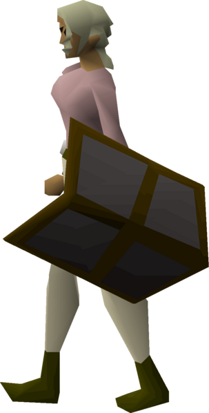 File:Iron kiteshield equipped female.png