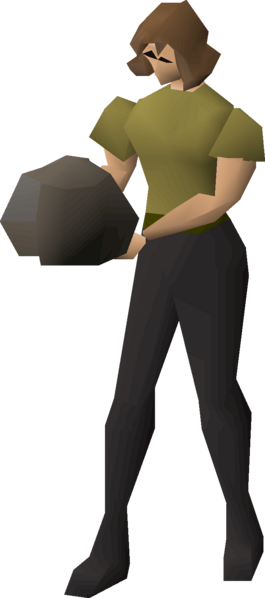 File:Pet rock equipped female.png