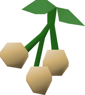 Poison ivy berries detail.png