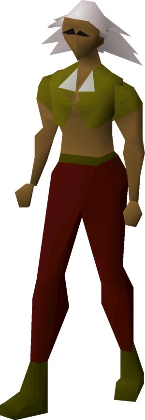 Shirt (brown) equipped female.png