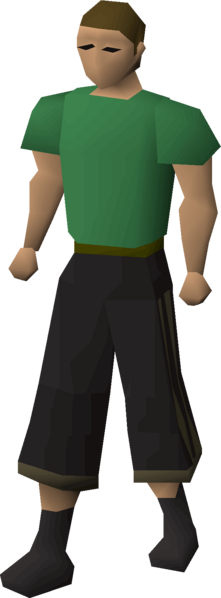 File:Dni23 legs sidestripes equipped male.png