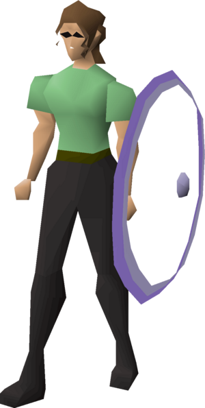 Elemental shield equipped female.png