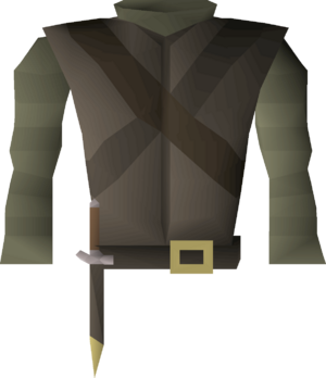 Clue hunter garb detail.png