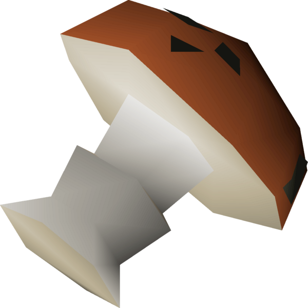 File:Mort myre fungus detail.png