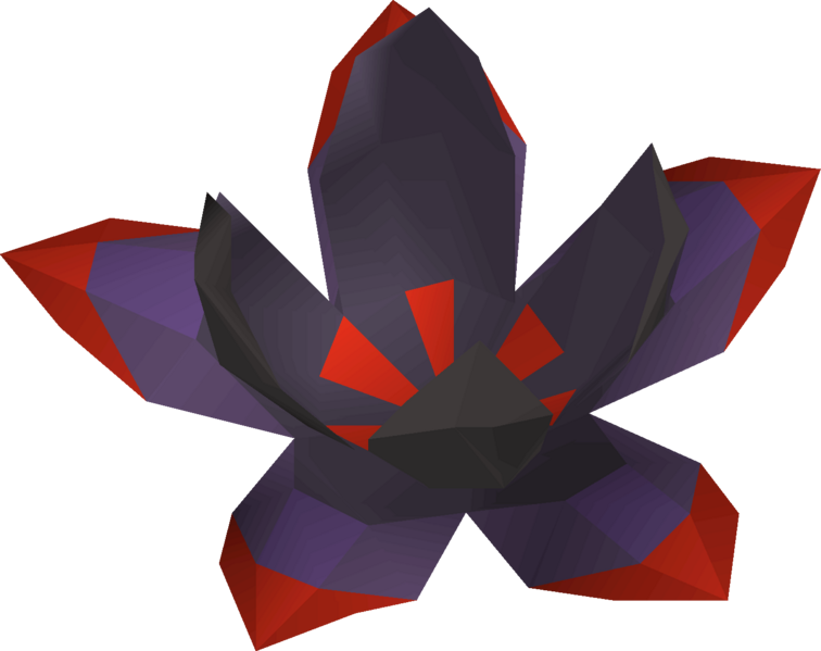 File:Buchu leaf detail.png