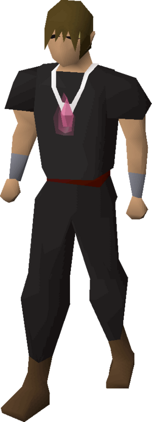 Salve amulet (e) equipped.png