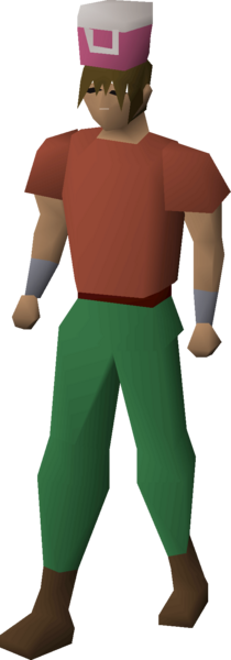 File:Villager hat (pink) equipped male.png