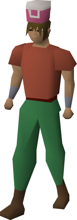 Villager hat (pink) equipped male.png