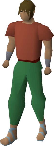 File:Villager sandals (blue) equipped male.png