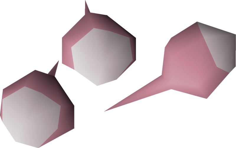 File:White rose seed 3 detail.png