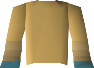 Robe of elidinis (top) detail.png