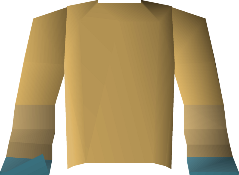 File:Robe of elidinis (top) detail.png